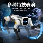 【現貨免運】新品智能遙控機器狗語音聲控特技魔法翻滾四足仿生電子狗兒童玩具遙控機械狗 電動機械寵物狗 兒童遙控機械狗