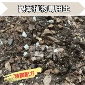 【醬米資材】觀葉植物種植土1公升 泥炭土 觀葉土 培養土 龜背芋介質  蔓綠絨 觀葉植物雨林植物 天南星科
