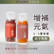《聖力達生技》人蔘＋黃耆【增補元氣】舌下吸收精華 高效率冬日進補 180粒裝｜超臨界CO₂萃取｜優惠組