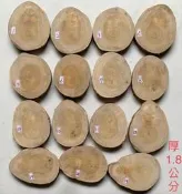 台灣櫸【紅雞油】原木年輪木片/隔熱墊茶壺墊湯鍋墊/藝品盆景奇石陶藝擺設底座/置物架/木質墊片/砧板/地板扶手雕刻裝飾用材