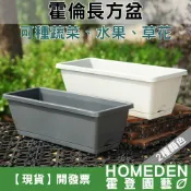 (店+)霍倫長方盆 43cm 長型花盆 種菜盆 長型花槽 長盆 霍倫盆 青山盆 塑膠花盆【HOMEDEN霍登園藝】