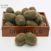 (MOLD-A_221)高仿真水果假水果蔬菜食物模型食品道具超逼真仿真奇異果獼猴桃