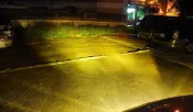 黑貓車部品~超值黃金光燈炮 H1 55W 雨霧專用 e34 e36 306 solio crv2 大燈 遠燈 霧燈