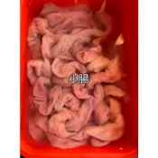 [湘湘豬肉]臺灣生小腸 600g±5%(約1台斤)(四神湯/滷豬腸/椒鹽豬腸)