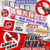 輕鬆點 螞蟻絕 滅蟻 除蟻 終極蟻家 強效滅蟻 螞蟻藥 凝膠餌劑  一點絕 金鳥 174T 果蠅 興家安速 蟑螂 小黑蚊