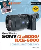 【天瓏網路書店】David Busch's Sony Alpha a6000/ILCE-6000 Guide to Digital Photography