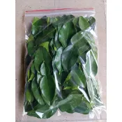 峻勝香料農場🇹🇭泰國檸檬葉/馬蜂橙葉子/卡菲爾萊姆葉 100g/量大請聊聊（分裝請告知）