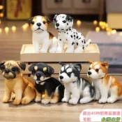 可開發票統編 👋 秋田犬 羅納威 格魯 哈士奇 大麥町公仔 女生睡覺床上玩偶 兒童陪伴安撫娃娃 房間裝飾 創意生日禮物