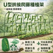 (店+)【蝸居優選】✨園藝熱賣U型拼接黃瓜架 爬藤種植架 菜園支架 豆角蔬菜攀藤架 易組裝 園藝棚架 庭院陽臺種菜架 固定支撐架