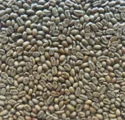 衣索比亞-耶加雪菲 非洲之星 果丁丁 G1 日曬 咖啡生豆 1公斤裝-【良鎂咖啡精品館】