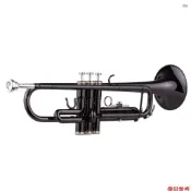 全新鍍黃銅黑色 Bb 小號套裝適合初學者學生,帶硬殼帶吹嘴手套拋光布