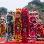 【整套羊毛獅】舞獅全套 南獅廣東舞獅 舞獅頭 舞龍舞獅 舞獅道具
