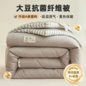 寓偉 2026新款大豆纖維被春秋被四季被加厚冬被保暖單雙人被芯家用被子