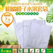水果套袋💎柑橘套袋專用袋 紅美人 沃柑 不知火 春見 醜橘 無花果 草莓 櫻桃 果袋 套袋 五金 園藝工具 路路通五金