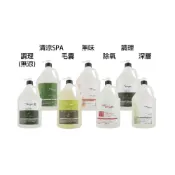 (店+)【HAIR ANGEL 髮精靈】Hair angel 髮精靈 清涼SPA洗髮精涼款 調理洗 無味洗 深層洗 4000ml 兩瓶宅配