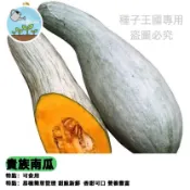 【台灣栗子南瓜種子】東洋南瓜 貴族南瓜 日本種子 蜜本南瓜 金絲南瓜 香甜鬆軟 家庭菜園 陽台盆栽 種植容易 豐收滿滿