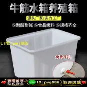 寶島萬象百貨 【可打統編 放心保固】水產養殖方桶養魚賣魚牛筋淺盆大號加厚牛筋塑料水箱儲水桶長方形