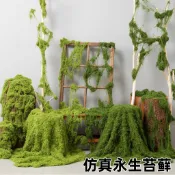 背景布 掛布 背景裝飾 拍照絲綢布 絲光綢緞布 絲緞布 絲綢布 拍照 絲光布 綠幕 攝影布幕 長絨毛布 仿真苔蘚造景假青