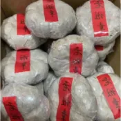 清倉福利！2003老班章古樹金瓜250克*個！茶氣體感滿級，超足蜜香！超厚湯感！超強回味！