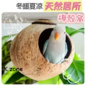 K zone🦜天然系椰殼🦜椰子殼鸚鵡小窩 椰子吊床窩 涼感窩 倉鼠椰子殻窩 鳥窩 蜜袋鼯 鳥巢睡窩 繁殖箱