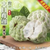 【果農直配】台東大目釋迦特大果5斤ｘ1箱(每箱4-5入)